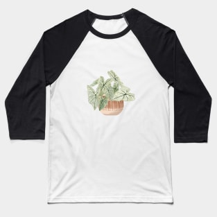 Caladium plant art Baseball T-Shirt